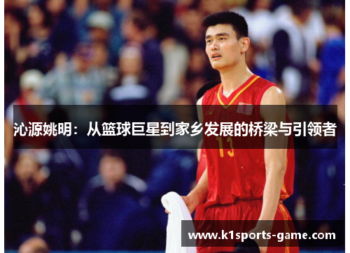 沁源姚明：从篮球巨星到家乡发展的桥梁与引领者
